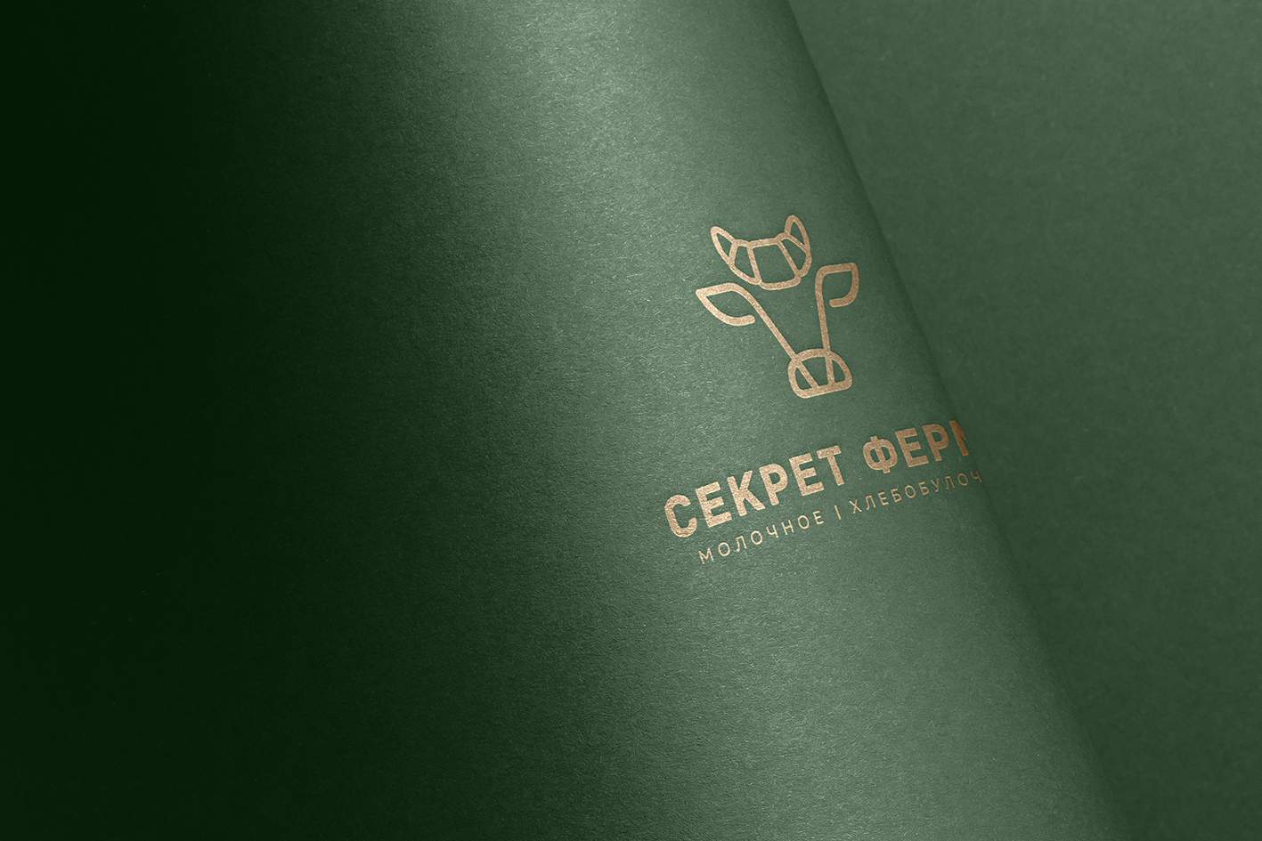 СЕКРЕТ ФЕРМЫ — материал 2